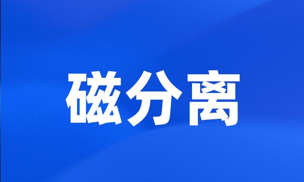 磁分离