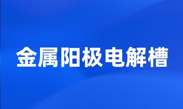 金属阳极电解槽