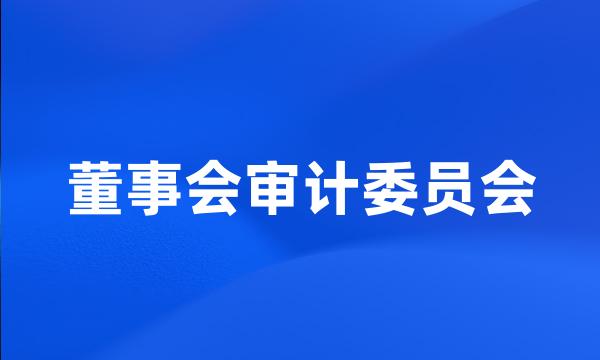 董事会审计委员会