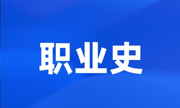 职业史