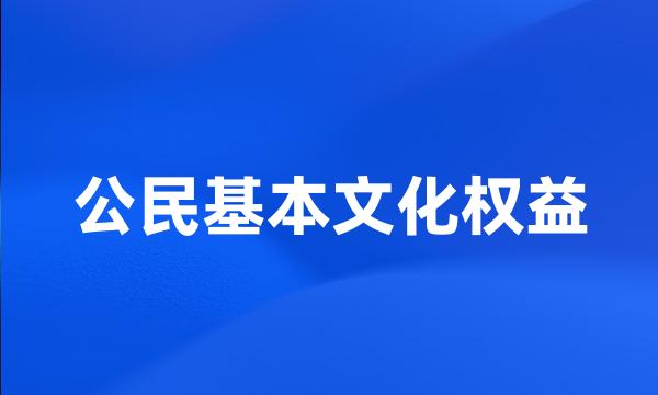 公民基本文化权益