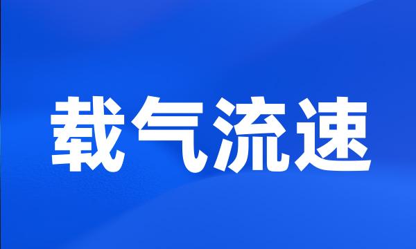 载气流速