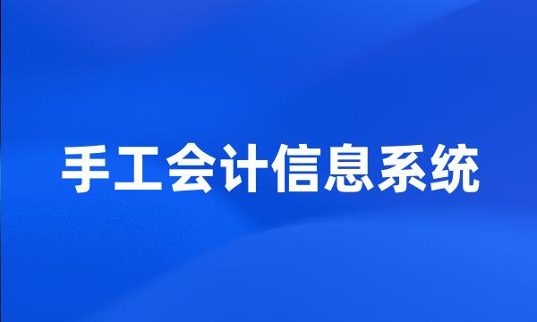 手工会计信息系统