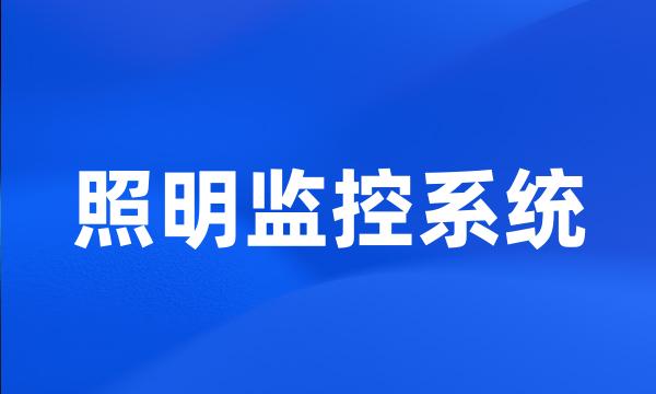 照明监控系统