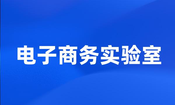 电子商务实验室