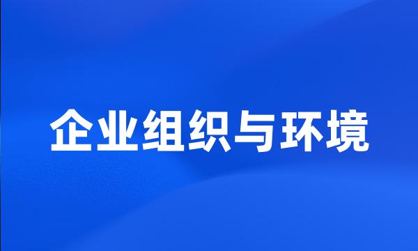 企业组织与环境