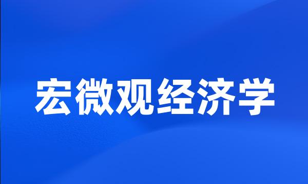 宏微观经济学