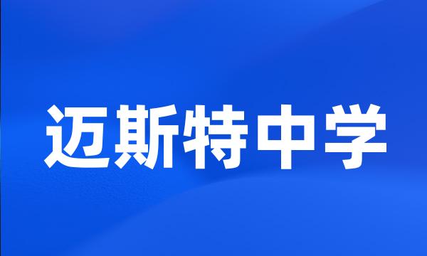 迈斯特中学