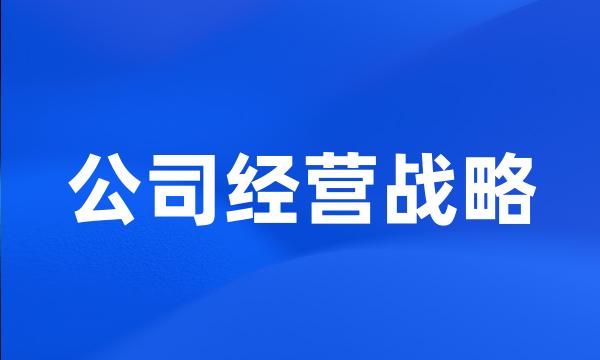 公司经营战略