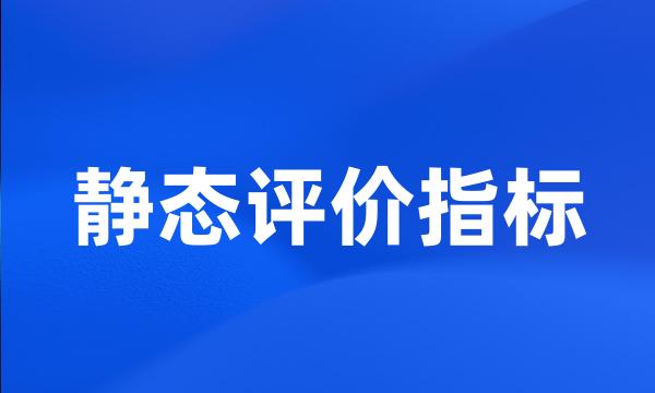 静态评价指标