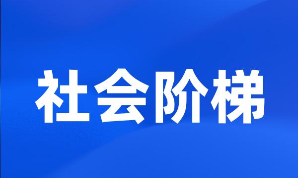 社会阶梯