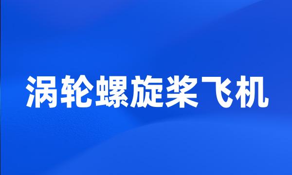 涡轮螺旋桨飞机