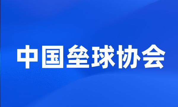 中国垒球协会