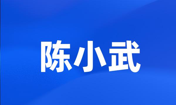 陈小武