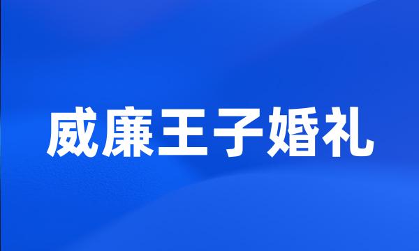 威廉王子婚礼