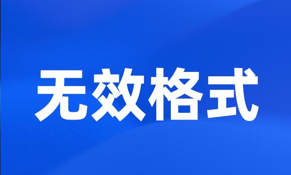 无效格式