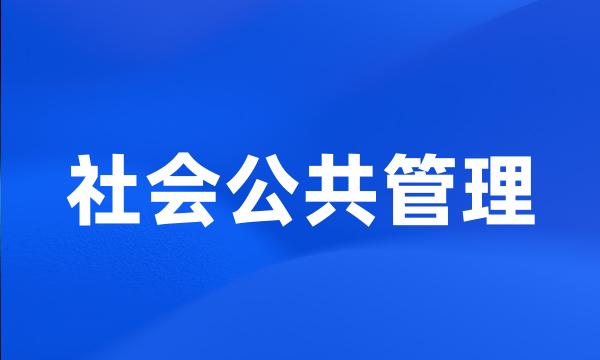 社会公共管理