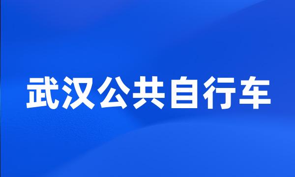 武汉公共自行车