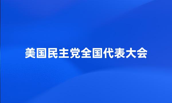 美国民主党全国代表大会