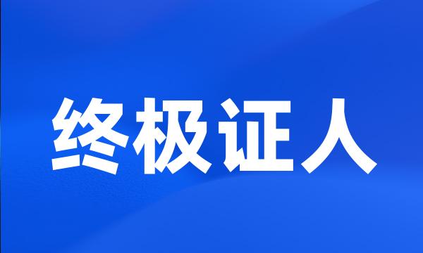 终极证人