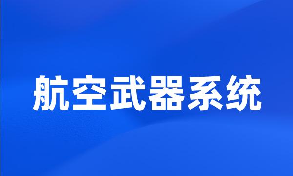 航空武器系统