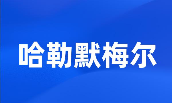 哈勒默梅尔