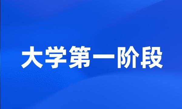 大学第一阶段