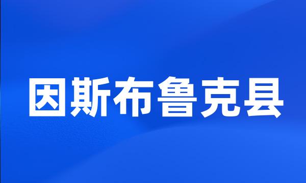 因斯布鲁克县