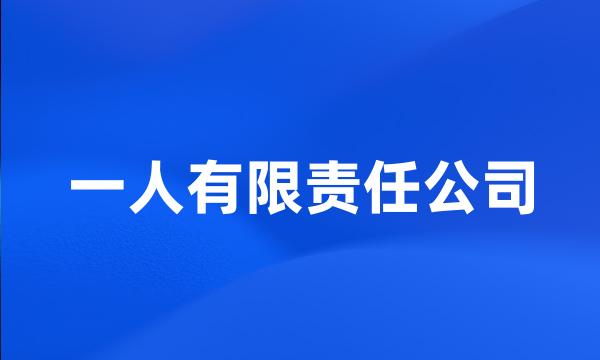 一人有限责任公司