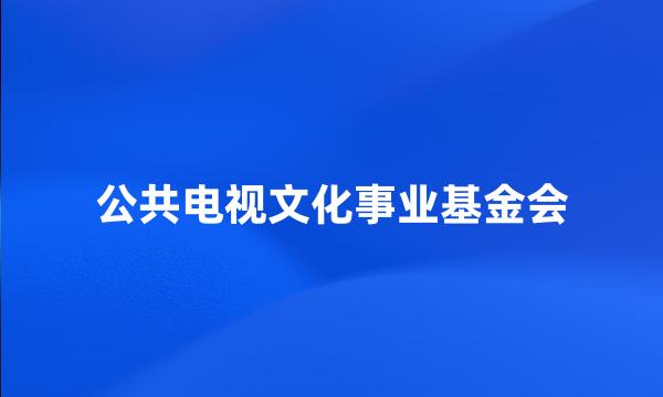 公共电视文化事业基金会