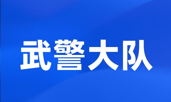 武警大队