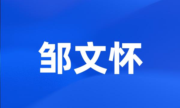 邹文怀