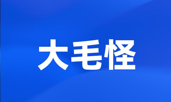 大毛怪