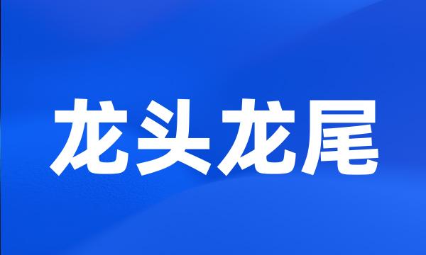 龙头龙尾