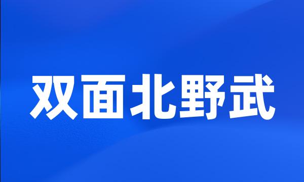 双面北野武