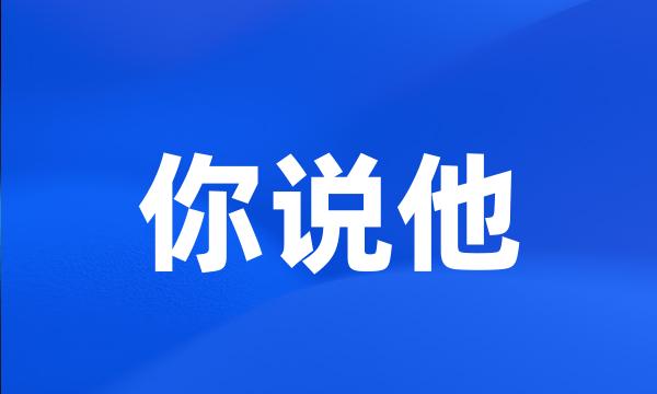 你说他