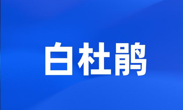 白杜鹃