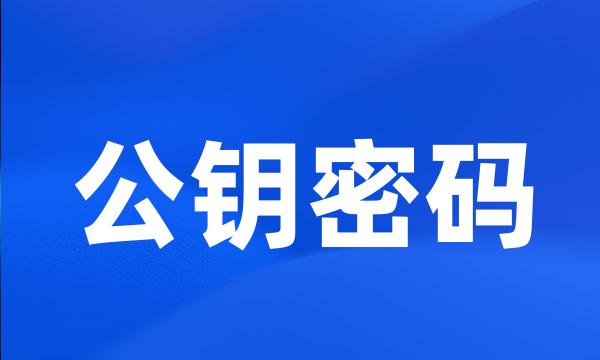 公钥密码