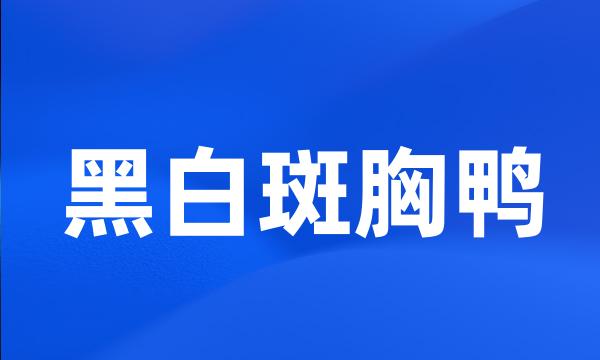 黑白斑胸鸭