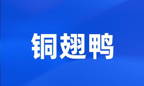 铜翅鸭