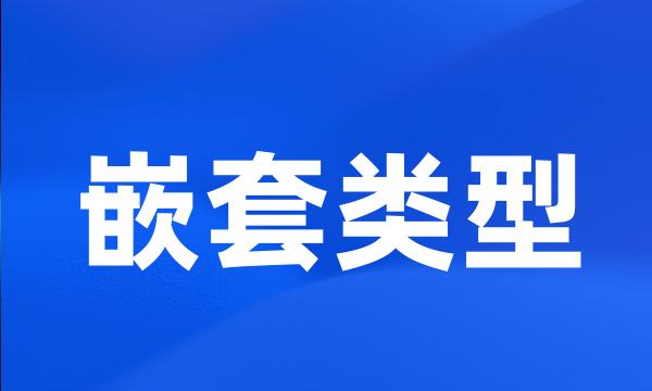 嵌套类型