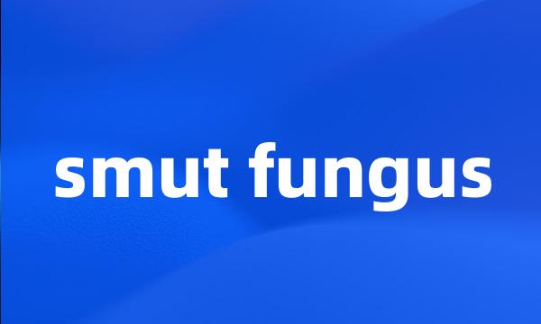 smut fungus