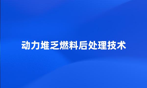 动力堆乏燃料后处理技术