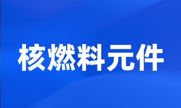 核燃料元件