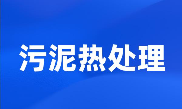 污泥热处理