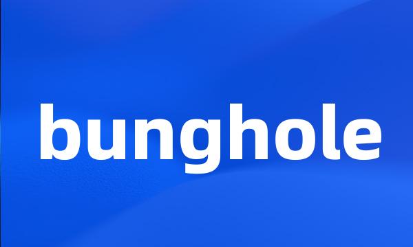 bunghole