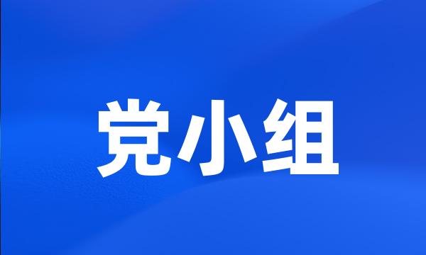 党小组