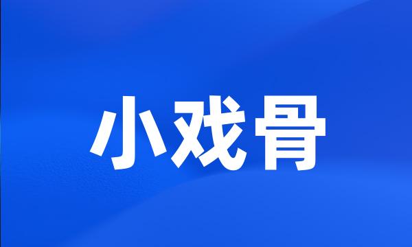 小戏骨