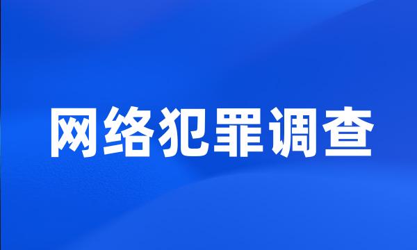 网络犯罪调查