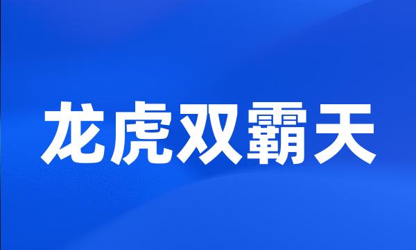 龙虎双霸天